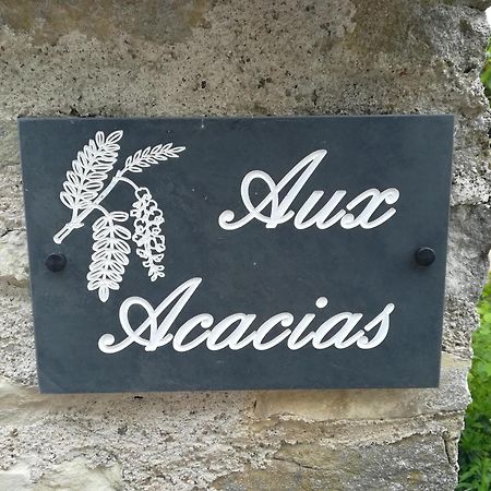 Aux Acacias Villa Braye-sous-Faye Bagian luar foto